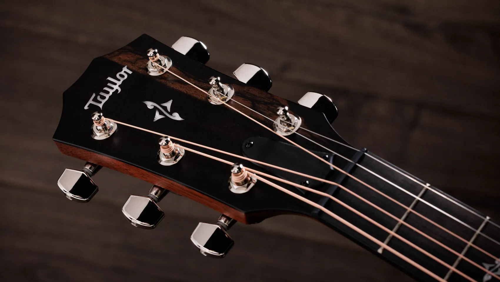 412ce Indian Rosewood Acoustic-Electric Guitar | Taylor Guitars